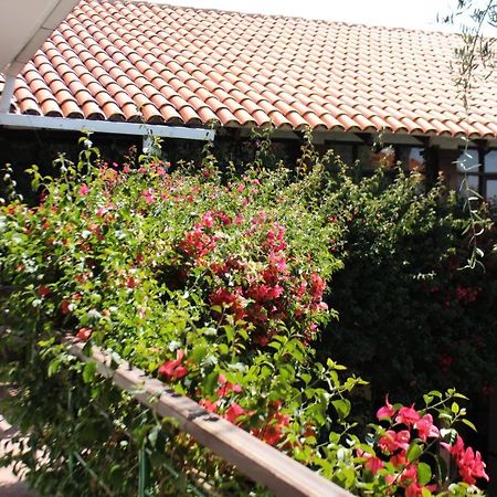 Hostal Viejo Olivo Sucre Zewnętrze zdjęcie