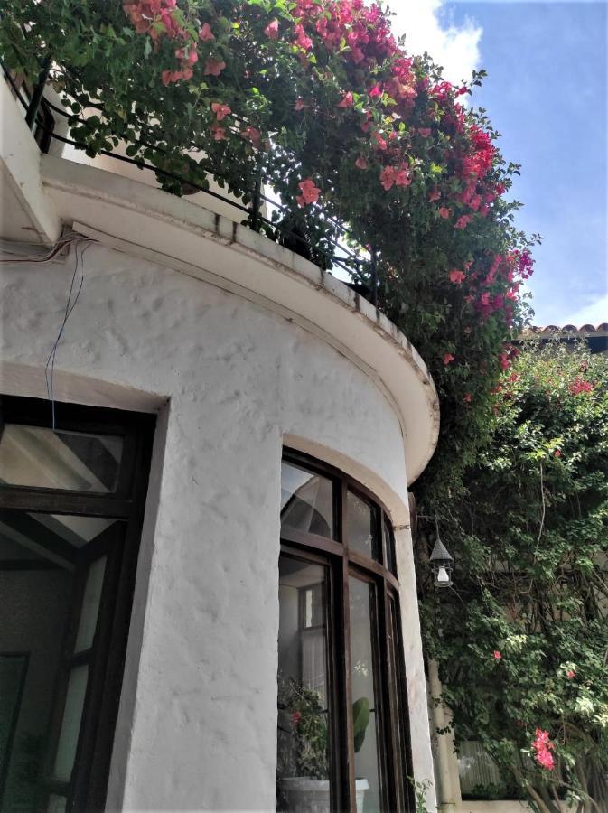 Hostal Viejo Olivo Sucre Zewnętrze zdjęcie