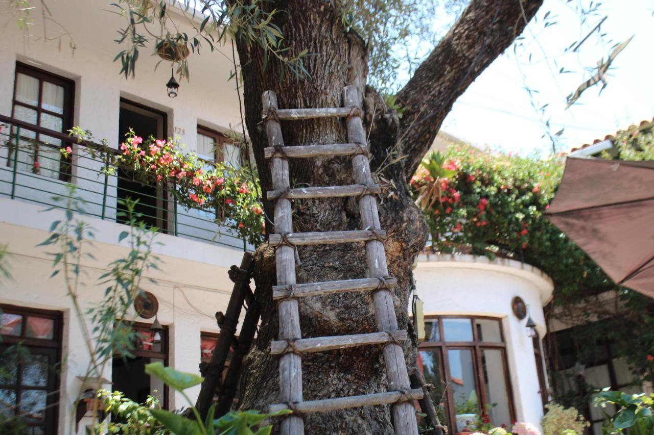 Hostal Viejo Olivo Sucre Zewnętrze zdjęcie